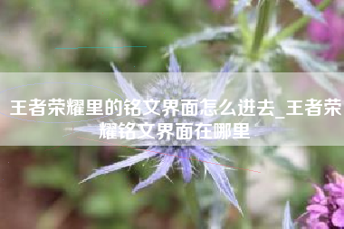王者荣耀里的铭文界面怎么进去_王者荣耀铭文界面在哪里