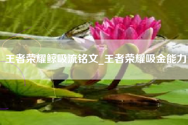 王者荣耀鲸吸流铭文_王者荣耀吸金能力