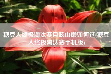 糖豆人终极淘汰赛目眩山巅如何过(糖豆人终极淘汰赛手机版)