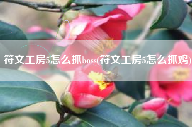 符文工房5怎么抓boss(符文工房5怎么抓鸡)