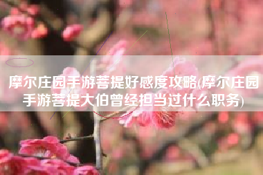 摩尔庄园手游菩提好感度攻略(摩尔庄园手游菩提大伯曾经担当过什么职务) 摩尔庄园手游菩提好感度攻略(摩尔庄园手游菩提大伯曾经担当过什么职务)