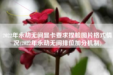 2022年永劫无间显卡要求捏脸图片格式情况(2022年永劫无间排位加分机制)