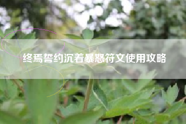 终焉誓约沉着暴怒符文使用攻略