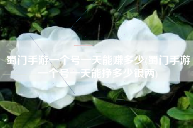蜀门手游一个号一天能赚多少(蜀门手游一个号一天能挣多少银两)