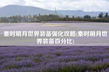 秦时明月世界装备强化攻略(秦时明月世界装备百分比)