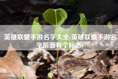 英雄联盟手游名字大全(英雄联盟手游名字前面有个标志)