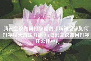 腾讯会议如何打字回复（腾讯会议如何打字聊天方法介绍）(腾讯会议如何打字在公评中)
