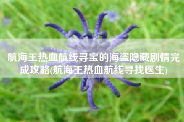 航海王热血航线寻宝的海盗隐藏剧情完成攻略(航海王热血航线寻找医生)