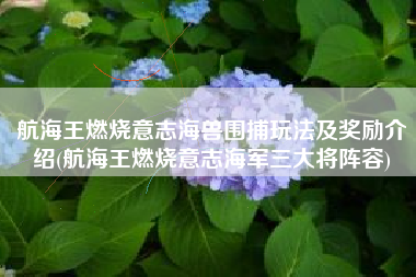 航海王燃烧意志海兽围捕玩法及奖励介绍(航海王燃烧意志海军三大将阵容)