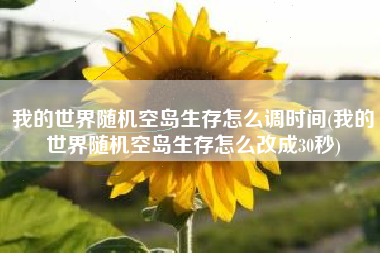 我的世界随机空岛生存怎么调时间(我的世界随机空岛生存怎么改成30秒)