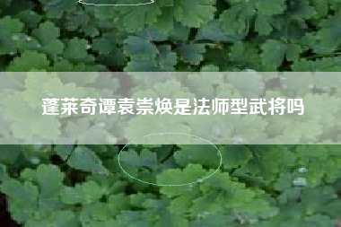 蓬莱奇谭袁崇焕是法师型武将吗