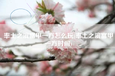 率土之滨富甲一方怎么玩(率土之滨富甲一方时间)