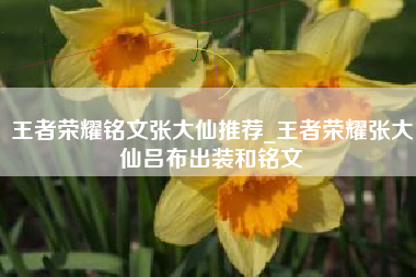 王者荣耀铭文张大仙推荐_王者荣耀张大仙吕布出装和铭文