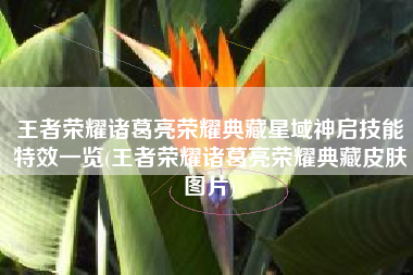 王者荣耀诸葛亮荣耀典藏星域神启技能特效一览(王者荣耀诸葛亮荣耀典藏皮肤图片)