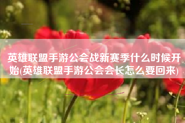 英雄联盟手游公会战新赛季什么时候开始(英雄联盟手游公会会长怎么要回来)