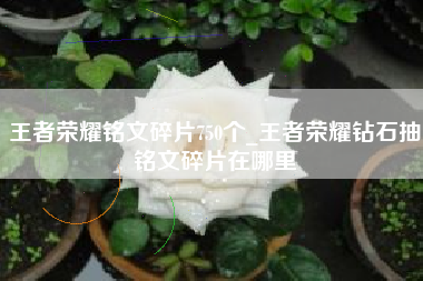 王者荣耀铭文碎片750个_王者荣耀钻石抽铭文碎片在哪里