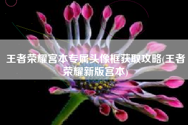 王者荣耀宫本专属头像框获取攻略(王者荣耀新版宫本)