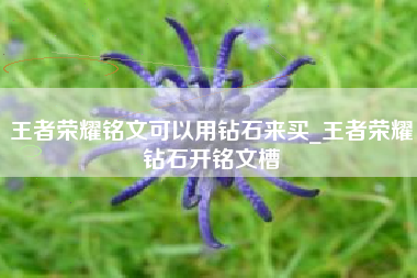 王者荣耀铭文可以用钻石来买_王者荣耀钻石开铭文槽
