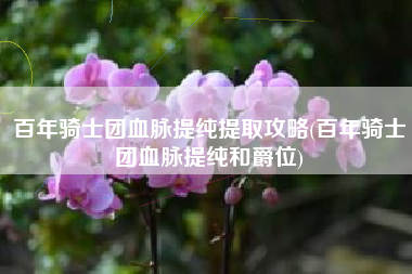 百年骑士团血脉提纯提取攻略(百年骑士团血脉提纯和爵位)