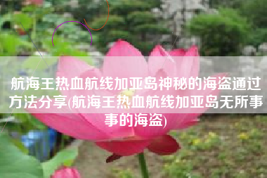 航海王热血航线加亚岛神秘的海盗通过方法分享(航海王热血航线加亚岛无所事事的海盗)