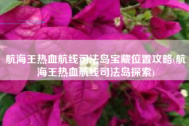 航海王热血航线司法岛宝藏位置攻略(航海王热血航线司法岛探索)
