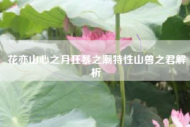 花亦山心之月狂暴之潮特性山兽之君解析