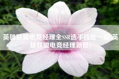 英雄联盟电竞经理全SSR选手技能一览(英雄联盟电竞经理新区) 英雄联盟电竞经理全SSR选手技能一览(英雄联盟电竞经理新区)