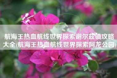 航海王热血航线世界探索谢尔兹镇攻略大全(航海王热血航线世界探索阿龙公园)