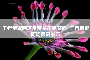 王者荣耀阿珂用带暴击铭文吗_王者荣耀阿珂最高暴击