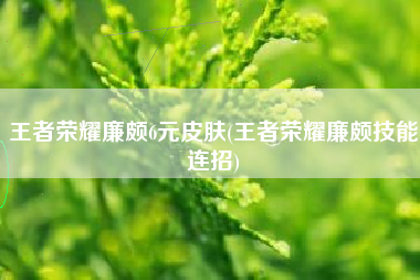 王者荣耀廉颇6元皮肤(王者荣耀廉颇技能连招)
