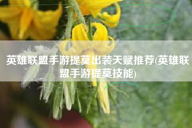 英雄联盟手游提莫出装天赋推荐(英雄联盟手游提莫技能)