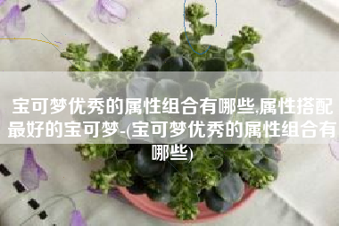 宝可梦优秀的属性组合有哪些,属性搭配最好的宝可梦-(宝可梦优秀的属性组合有哪些)