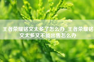 王者荣耀铭文太多了怎么办_王者荣耀铭文太多又不能出售怎么办