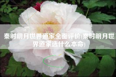 秦时明月世界道家全面评价(秦时明月世界道家选什么本命)