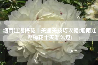 烟雨江湖梅花十关通关技巧攻略(烟雨江湖梅花十关怎么过)