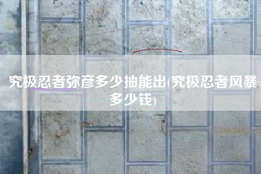 究极忍者弥彦多少抽能出(究极忍者风暴多少钱)