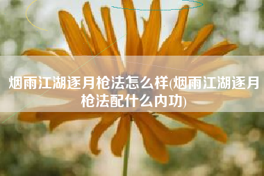 烟雨江湖逐月枪法怎么样(烟雨江湖逐月枪法配什么内功)