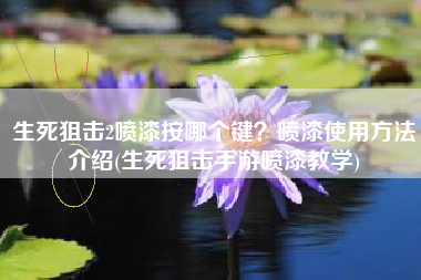生死狙击2喷漆按哪个键？喷漆使用方法介绍(生死狙击手游喷漆教学)