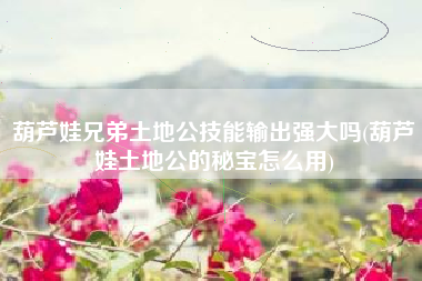 葫芦娃兄弟土地公技能输出强大吗(葫芦娃土地公的秘宝怎么用)