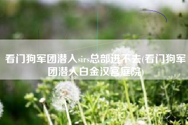 看门狗军团潜入sirs总部进不去(看门狗军团潜入白金汉宫庭院)