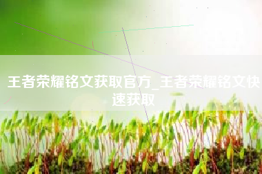 王者荣耀铭文获取官方_王者荣耀铭文快速获取