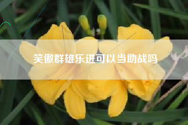 笑傲群雄乐进可以当助战吗
