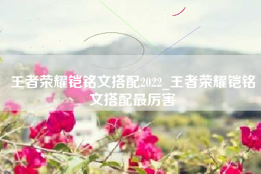 王者荣耀铠铭文搭配2022_王者荣耀铠铭文搭配最厉害