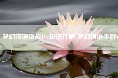 梦幻物语决战1V1玩法详解(梦幻物语手游)