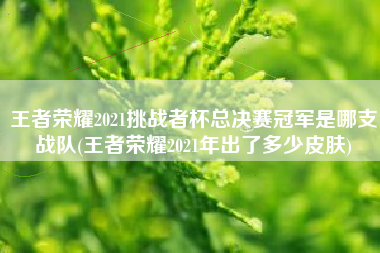 王者荣耀2021挑战者杯总决赛冠军是哪支战队(王者荣耀2021年出了多少皮肤)