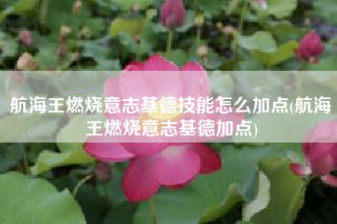 航海王燃烧意志基德技能怎么加点(航海王燃烧意志基德加点)