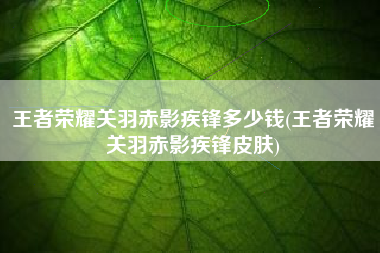 王者荣耀关羽赤影疾锋多少钱(王者荣耀关羽赤影疾锋皮肤)