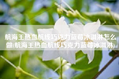 航海王热血航线巧克力蓝莓冰淇淋怎么做(航海王热血航线巧克力蓝莓冰淇淋)