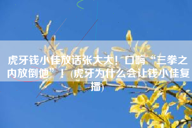 虎牙钱小佳放话张大大！口嗨“三拳之内放倒他”！(虎牙为什么会让钱小佳复播)