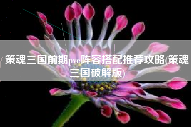策魂三国前期pve阵容搭配推荐攻略(策魂三国破解版)
